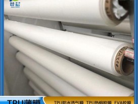 TPU聚酯環(huán)保防水高透濕薄膜厚0.03mm功能薄膜生產(chǎn)廠家免費拿樣